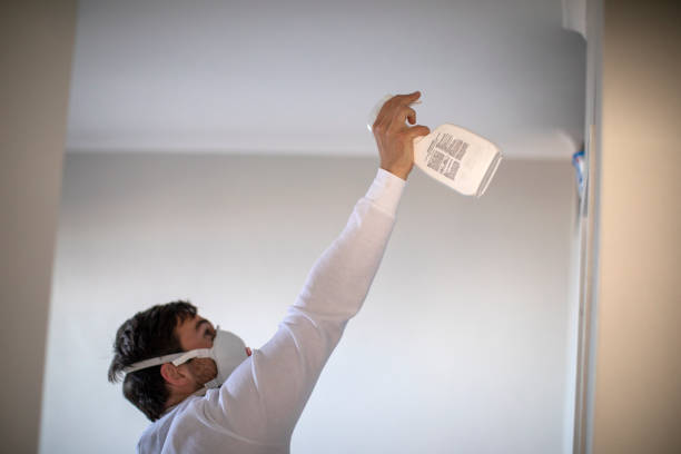 Best Commercial Mold Removal  in Westwood, NJ