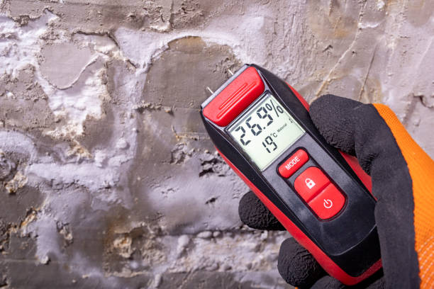 Best Mold Testing  in Westwood, NJ