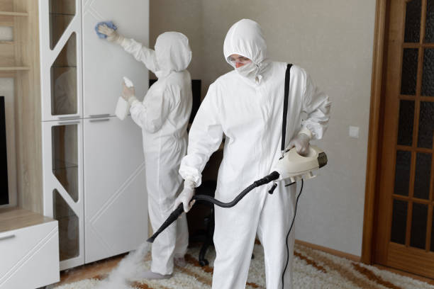 Professional Mold Removal in Westwood, NJ