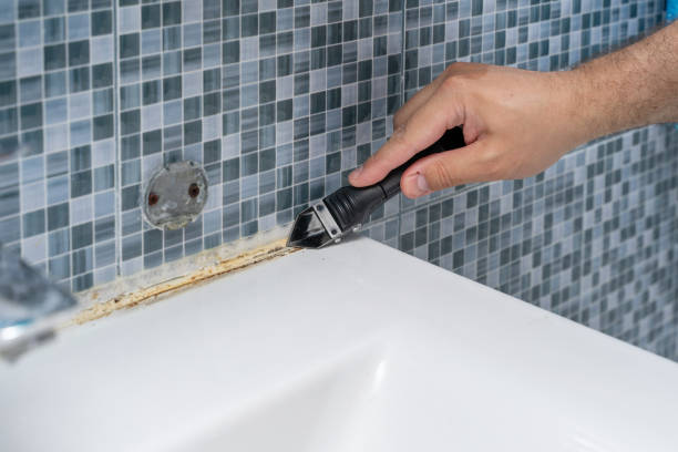 Best Office Mold Removal Services  in Westwood, NJ